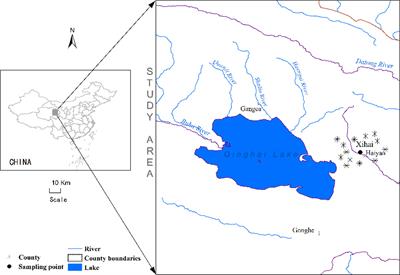 Effects of Warming and N Deposition on the Physiological Performances of Leymus secalinus in Alpine Meadow of Qinghai-Tibetan Plateau